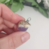 Wüstenregenfrosch - Amethyst