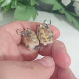 Wüstenregenfrosch - Amethyst
