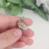 Wüstenregenfrosch - Amethyst