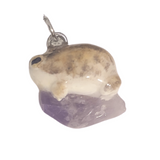 Wüstenregenfrosch - Amethyst