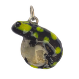 Fire Salamander aka Feuersalamander