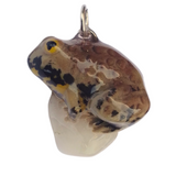 Yellow-Bellied Toad aka Gelbbauchunke