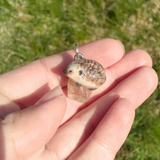 Hedgehog aka Igel