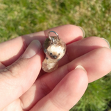 Hedgehog aka Igel