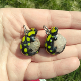 Fire Salamander aka Feuersalamander