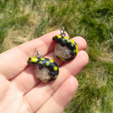 Fire Salamander aka Feuersalamander