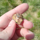 Springfrosch