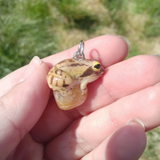 Springfrosch