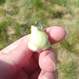 Tree Frog aka Laubfrosch