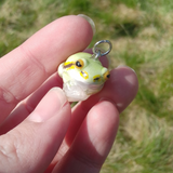 Tree Frog aka Laubfrosch