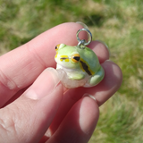 Tree Frog aka Laubfrosch