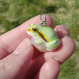 Tree Frog aka Laubfrosch