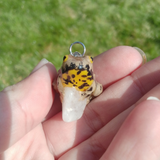 Yellow-Bellied Toad aka Gelbbauchunke
