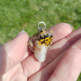Yellow-Bellied Toad aka Gelbbauchunke
