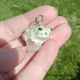 Green Toad aka Wechselkröte