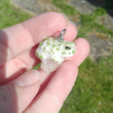 Green Toad aka Wechselkröte