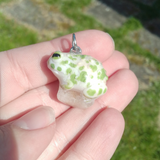 Green Toad aka Wechselkröte