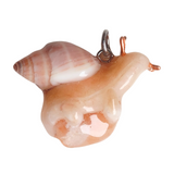 Snail Creature