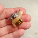 Snail - Tiger's Eye