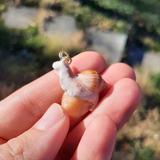 Winzige Schnecke - Karneol