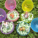 Surprise Eggs