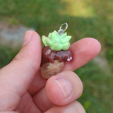 Succulent Creature- Quartz