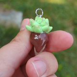Succulent Creature- Quartz
