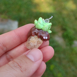 Succulent Creature- Quartz