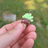Succulent Creature- Quartz