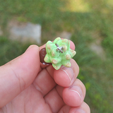 Succulent Creature- Quartz