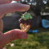 Succulent Creature- Quartz