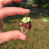 Succulent Creature- Quartz