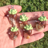 Succulent Creature- Quartz