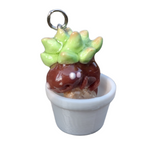Succulent Creature- Quartz