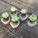 Succulent Creature- Quartz