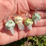 White's Tree Frog