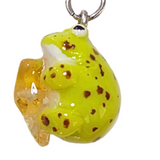 Pacman Frog