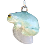 White's Tree Frog
