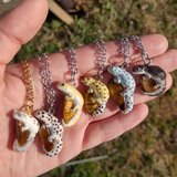 Gecko (Various Colors) - Tiger's Eye