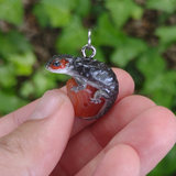 Crocodile Skink - Carnelian