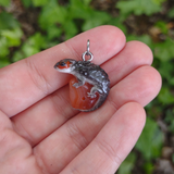 Crocodile Skink - Carnelian