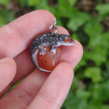 Crocodile Skink - Carnelian