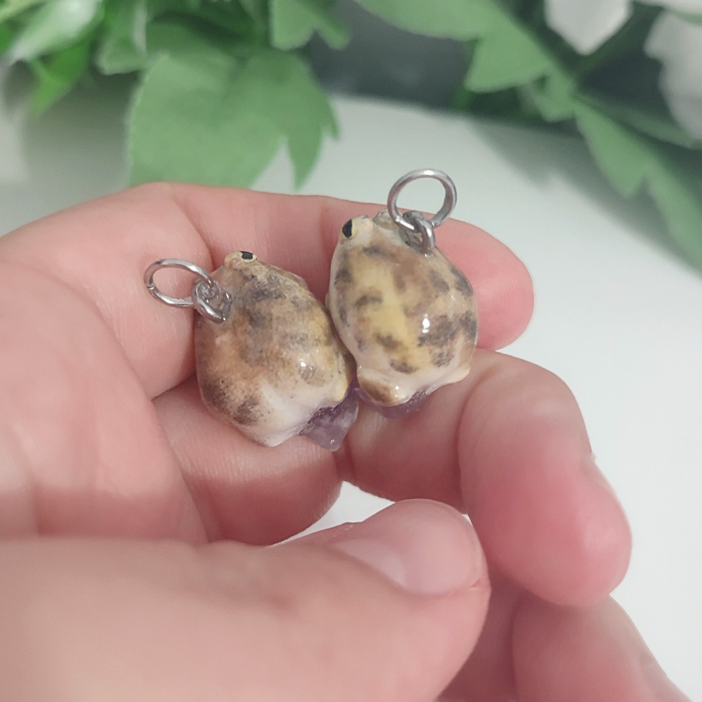 Desert rain deals frog earrings