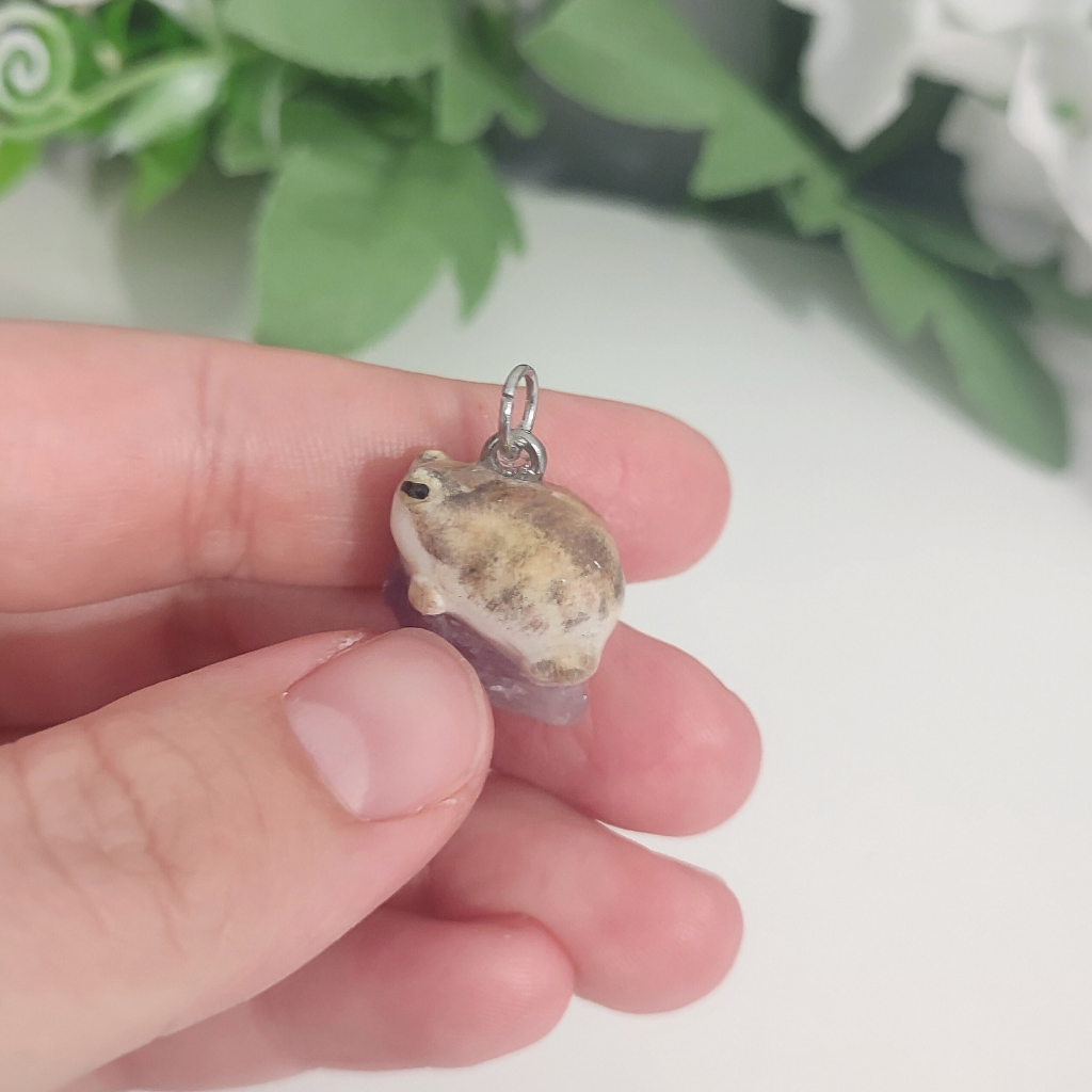 Desert rain store frog earrings