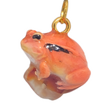 Tomato Frog - Carnelian