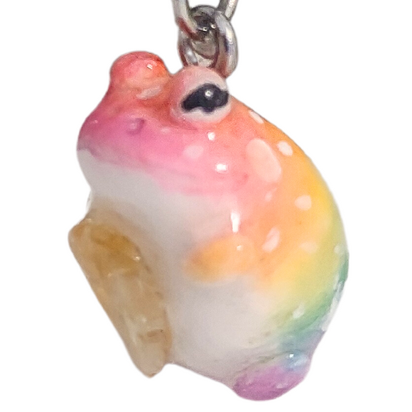 Rainbow Frog