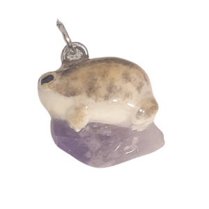 Desert Rain Frog - Amethyst