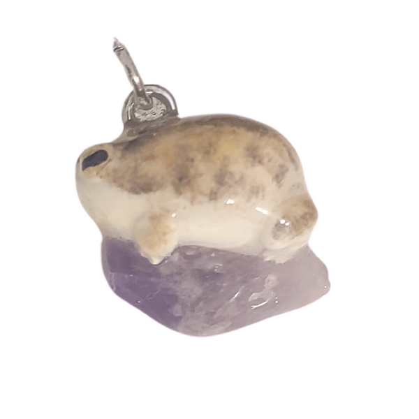 Wüstenregenfrosch - Amethyst 