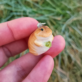 Budgett's Frog (aka Wednesday Frog)