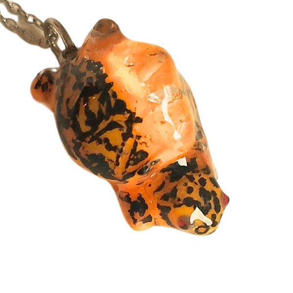Dosenschildkröte 